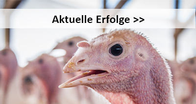 Verlinkung zu der Rubrik Aktuelle Erfolge